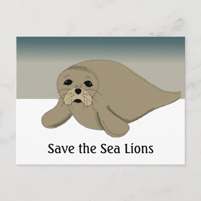 Carte Postale Sauvez les lions de mer (Devant)