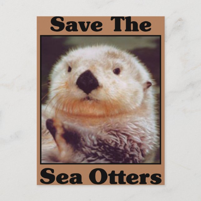 Carte Postale Sauvez les loutres de mer (Devant)