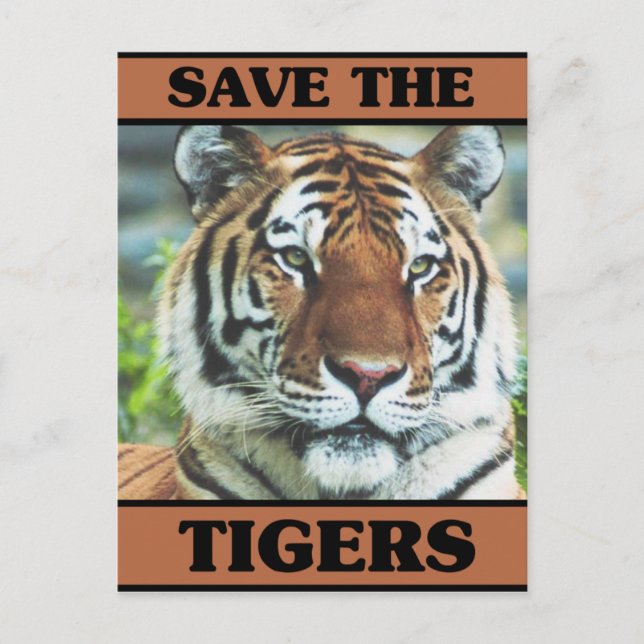 Carte Postale Sauvez les tigres (Devant)
