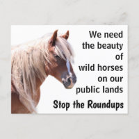 Sauvez nos chevaux sauvages