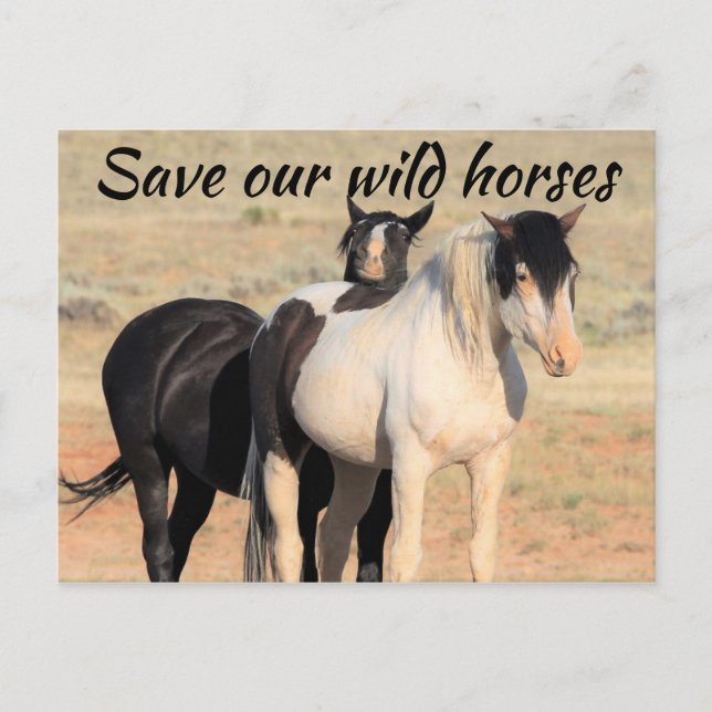 Carte Postale Sauvez nos chevaux sauvages (Devant)