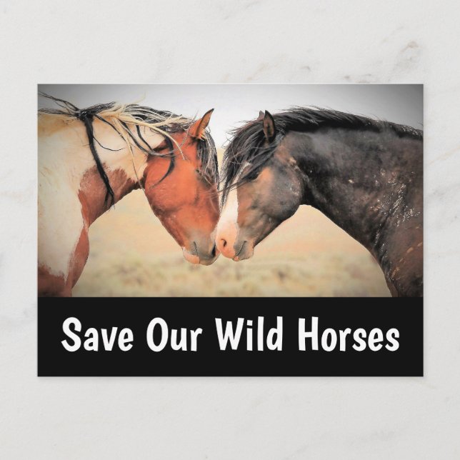 Carte Postale Sauvez nos chevaux sauvages (Devant)
