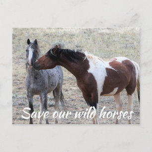 Carte Postale Sauvez nos chevaux sauvages