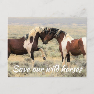 Carte Postale Sauvez nos chevaux sauvages