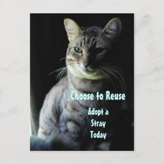 Carte Postale Sauvez Une Vie ! Adoptez Un Abri !