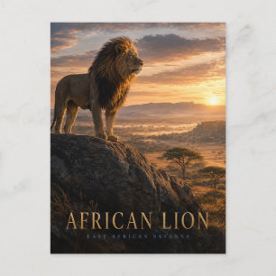Carte Postale Savane de lions d'Afrique ANIMALS