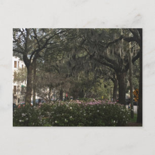 Carte Postale Savannah Georgia