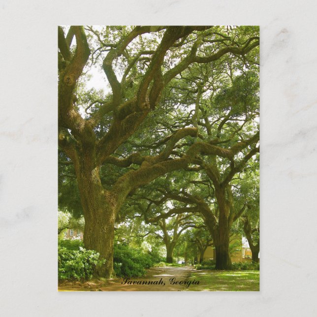 Carte postale Savannah Georgia (Devant)