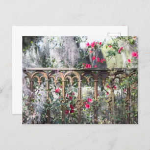 Carte postale Savannah Laurel Grove