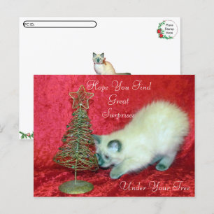 Carte Postale Savannah's Christmas Surprise - Chat balinais