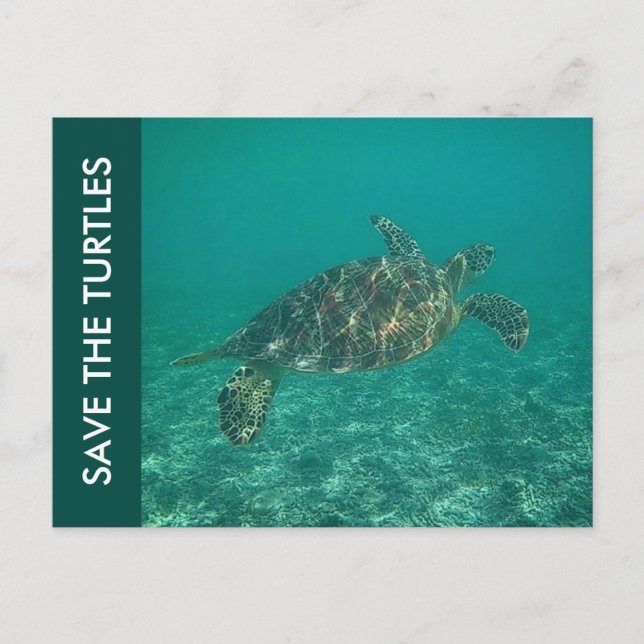 Carte Postale save the turtles (Devant)