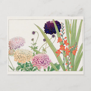 Carte Postale Scabiosa, Montbretia par Tanigami Konan