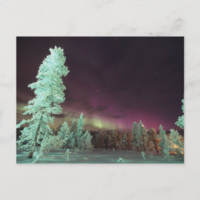 Carte Postale Scandinavie, Finlande, Laponie, Kakslauttanen, (Devant)