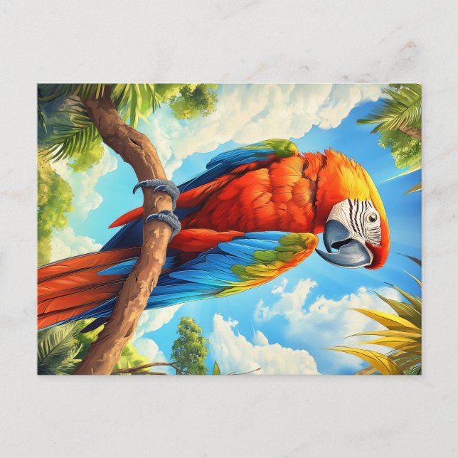 Carte Postale Scarlet macaw (Devant)