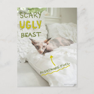 Carte Postale Scary Ugly Cat