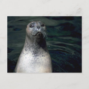 Carte Postale Sceau