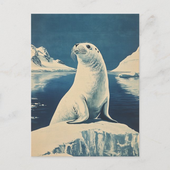 Carte Postale Sceau arctique vintage (Devant)
