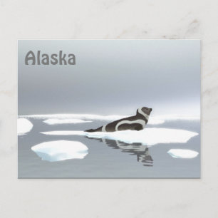 Carte Postale Sceau De Ruban Sur Glace
