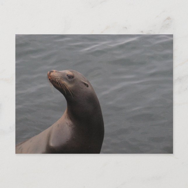 Carte Postale Sceau - Montery Bay CA (Devant)