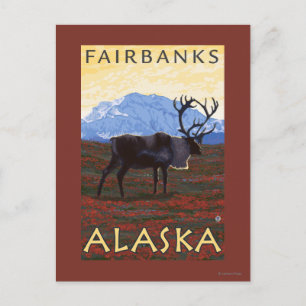 Carte Postale Scène Caribou - Fairbanks, Alaska
