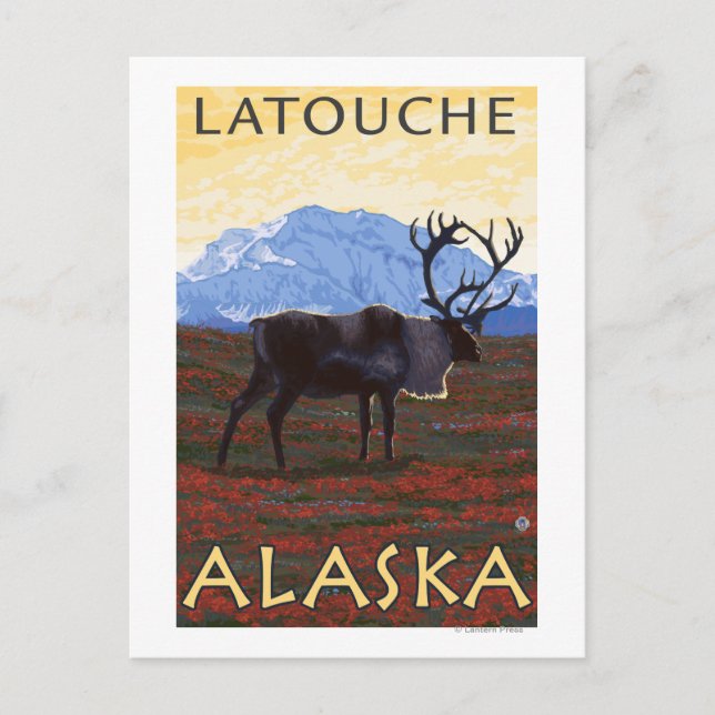 Carte Postale Scène Caribou - Latouche, Alaska (Devant)