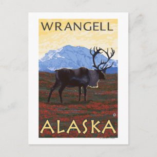 Carte Postale Scène Caribou - Wrangell, Alaska