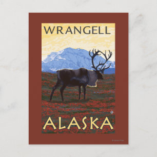 Carte Postale Scène Caribou - Wrangell, Alaska