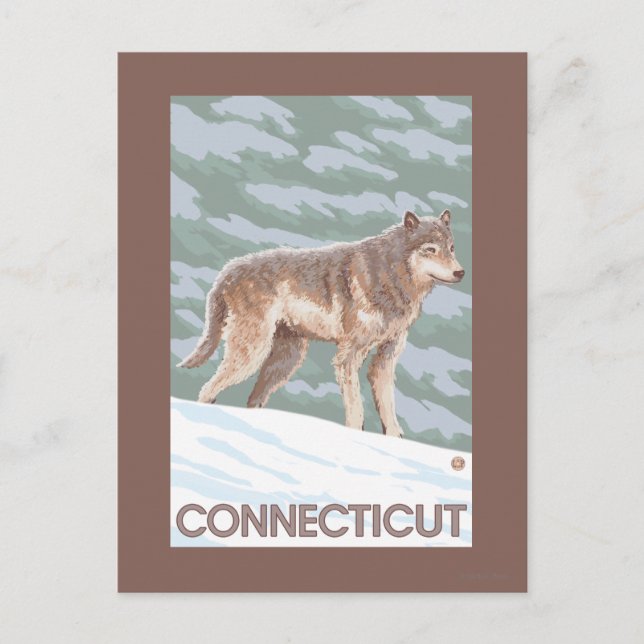 Carte Postale Scène ConnecticutWolf (Devant)