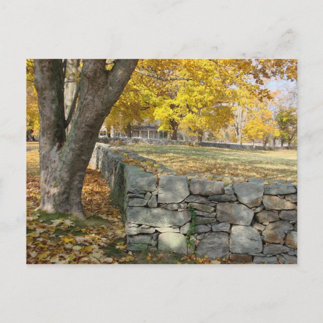 Carte Postale Scène d'automne avec mur d'arbre et de pierre (Devant)