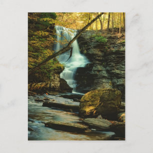 Carte Postale Scène d'automne de Fulmer Falls