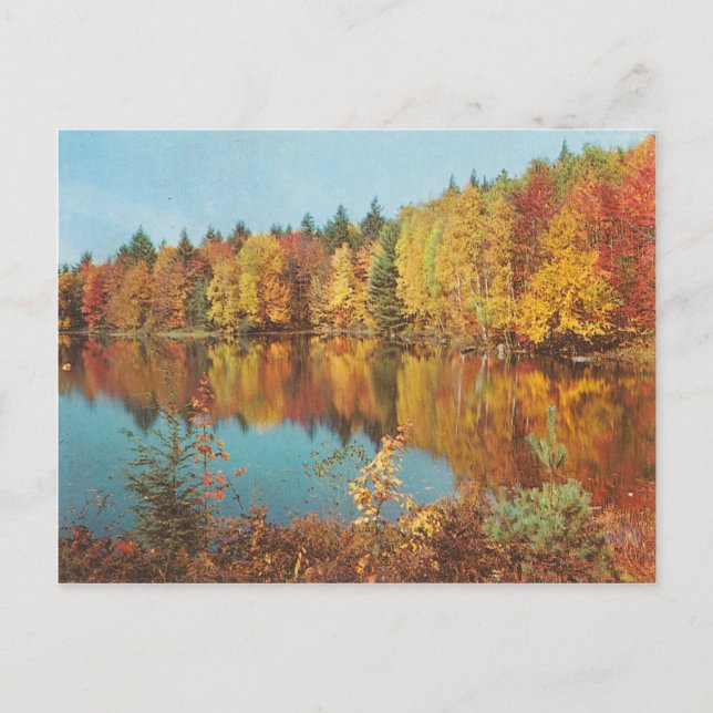 Carte Postale Scène d'automne vintage (Devant)