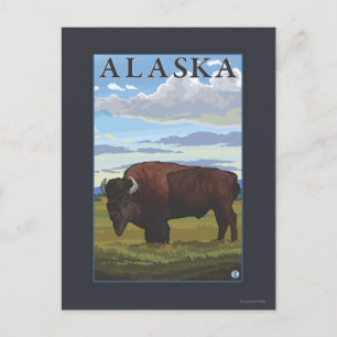 Carte Postale Scène de bison - Poster Vintage voyage