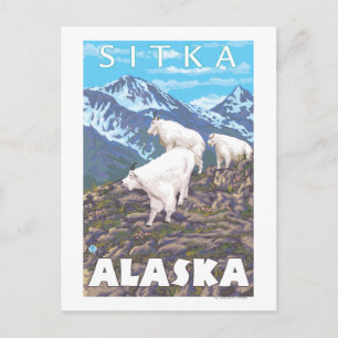Carte Postale Scène de chèvres de montagne - Sitka, Alaska
