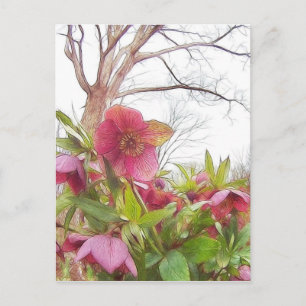 Carte Postale Scène De Jardin - Hellebores Et Vieux Chêne