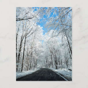 Carte Postale Scène de la route hivernale neige