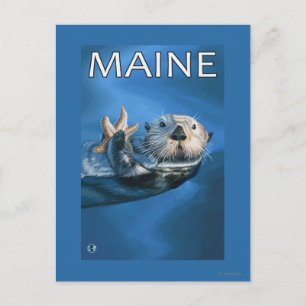 Carte Postale Scène de Loutres de Maine