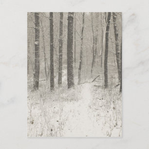 Carte Postale Scène de neige de Sepia