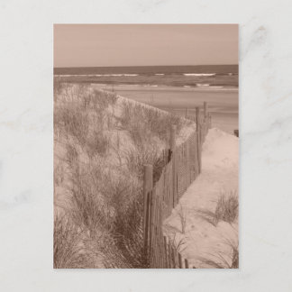 Carte Postale Scène De Sepia Beach