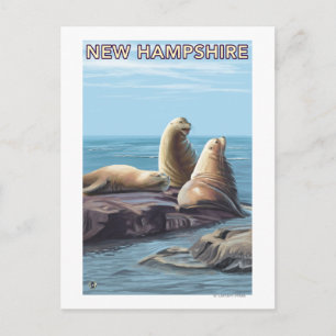 Carte Postale Scène des Lions de la Mer du New Hampshire