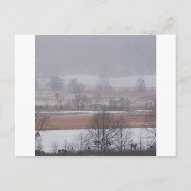 Carte Postale Scène d'hiver Cades Cove Great Smoky Mountains (Devant)