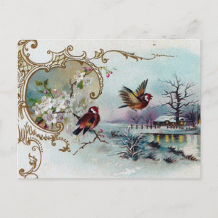 Carte Postale Scène d'oiseaux