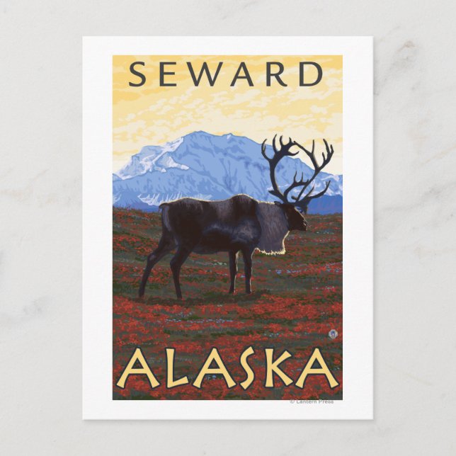 Carte Postale Scène du caribou - Sewing, Alaska (Devant)