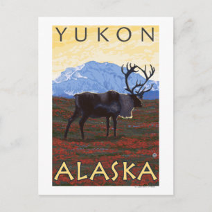 Carte Postale Scène du caribou - Yukon, Alaska