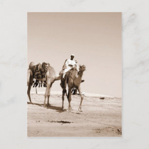 Carte Postale Scène du désert