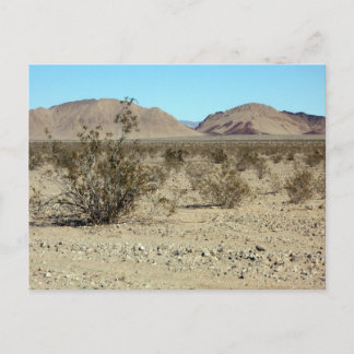 Carte Postale Scène du désert de Mojave 02