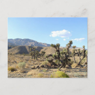 Carte Postale Scène du désert de Mojave 04
