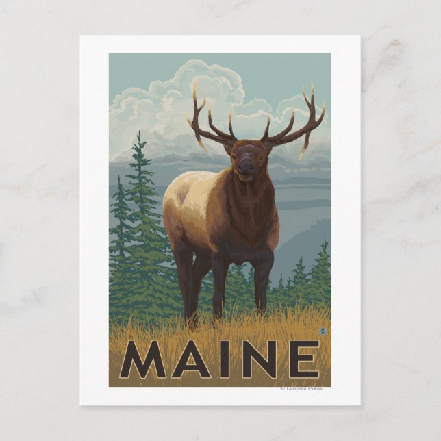 Carte Postale Scène du MaineElk (Devant)