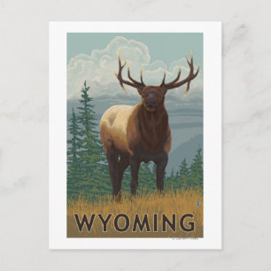 Carte Postale Scène ElkWyoming