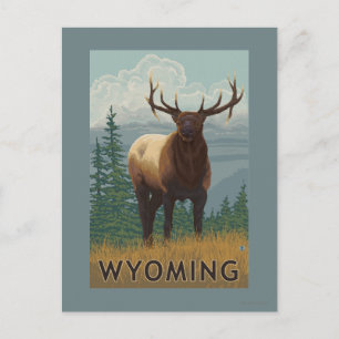 Carte Postale Scène ElkWyoming