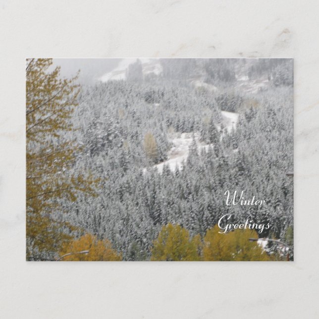Carte Postale Scène hivernale à Whistler, C.-B. (Devant)